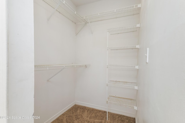 walk in closet with carpet