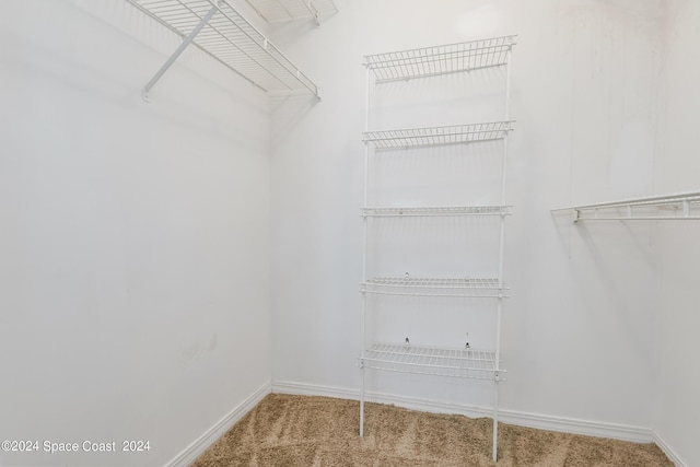 spacious closet with carpet flooring