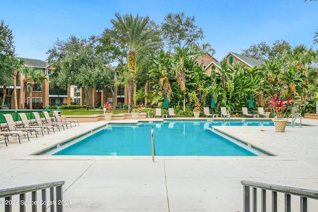 view of pool with a patio area