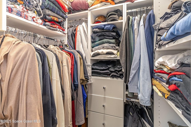 view of walk in closet