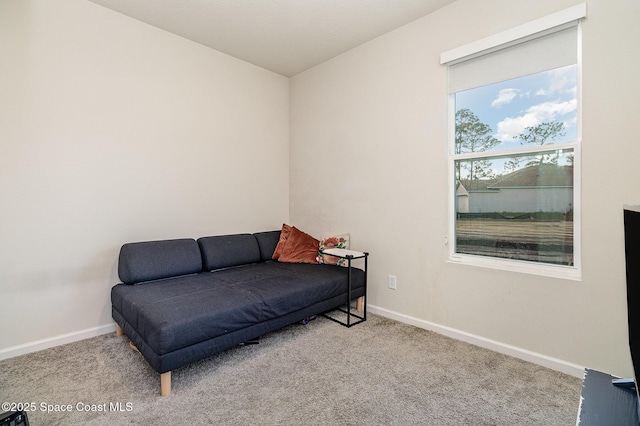 sitting room featuring light carpet