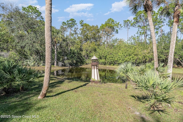 view of yard featuring a water view