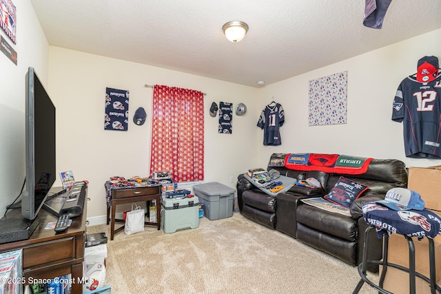 cinema room with carpet flooring and a textured ceiling