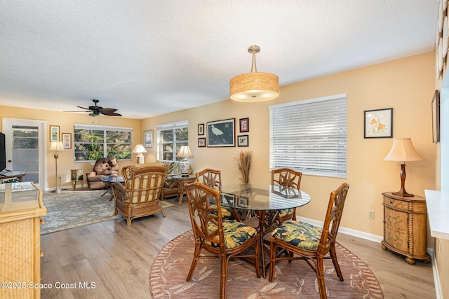 dining room featuring wood-type flooring, a textured ceiling, and ceiling fan