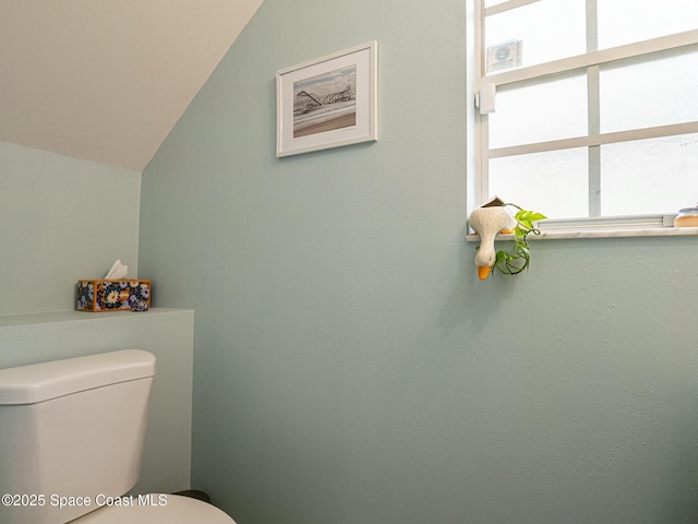 bathroom with vaulted ceiling and toilet