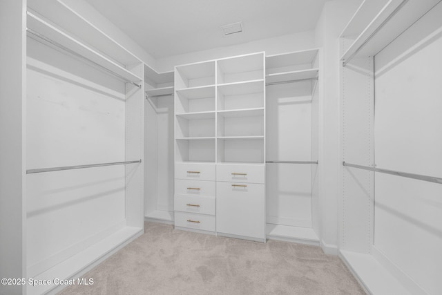 spacious closet with light colored carpet