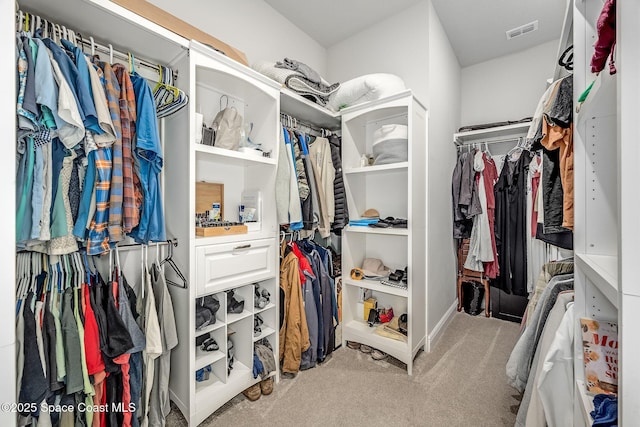 walk in closet with light carpet