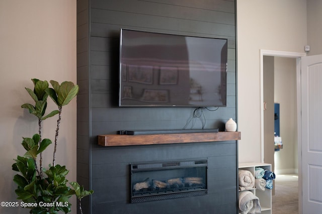 room details with a fireplace