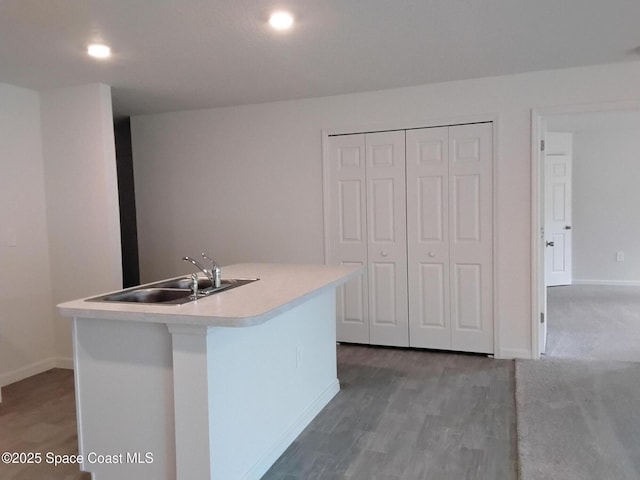 kitchen featuring a kitchen island with sink, sink, and hardwood / wood-style floors