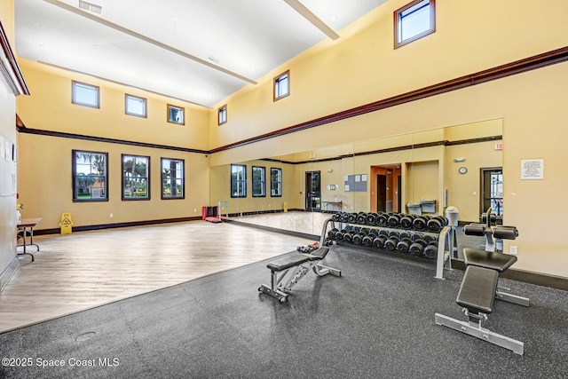 workout area with hardwood / wood-style flooring, a healthy amount of sunlight, and a high ceiling