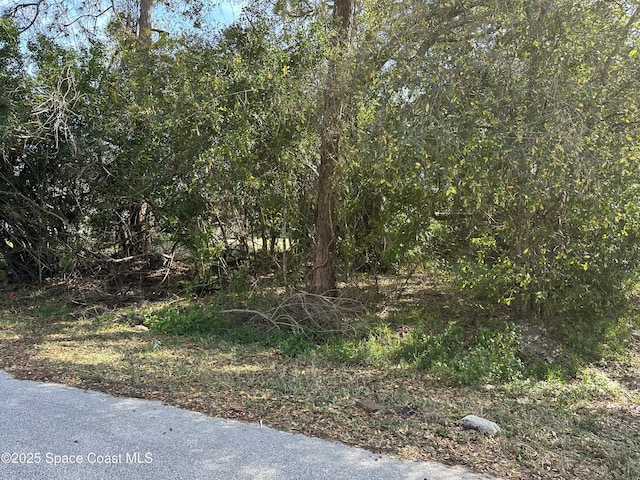 1010 Douglas St SE, Palm Bay FL, 32909 land for sale