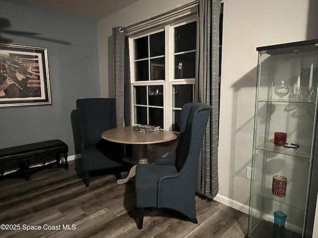 living area featuring dark hardwood / wood-style floors