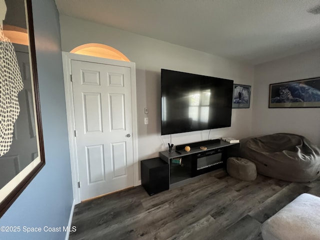 living room featuring dark hardwood / wood-style flooring