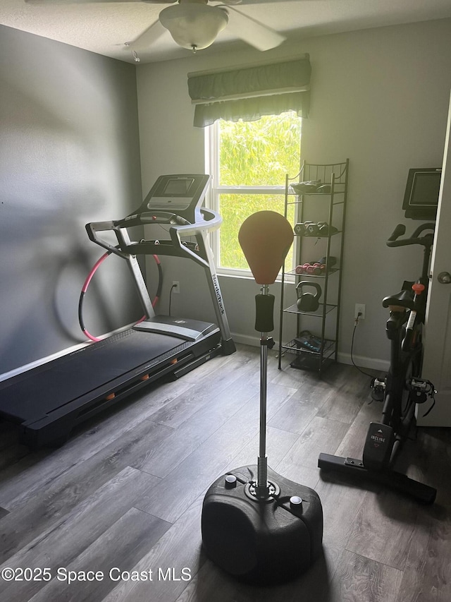 exercise room with hardwood / wood-style flooring