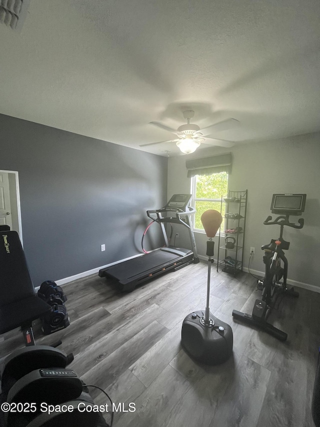 exercise room featuring hardwood / wood-style floors and ceiling fan