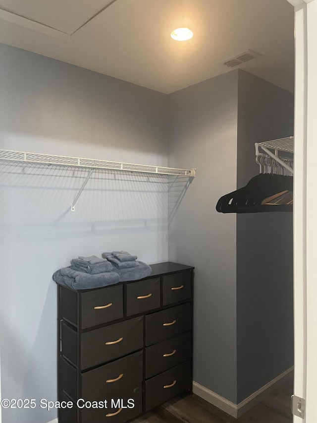 view of spacious closet