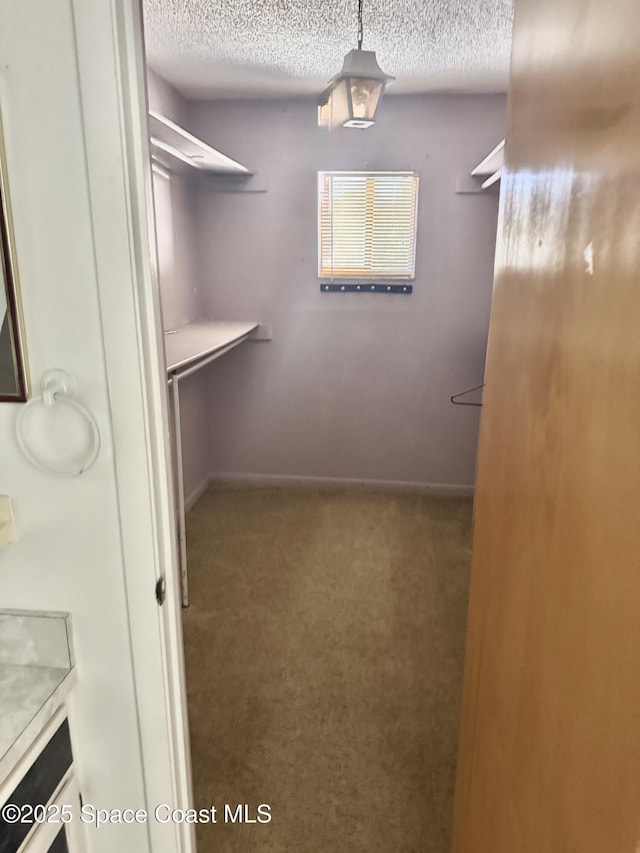 spacious closet with carpet flooring