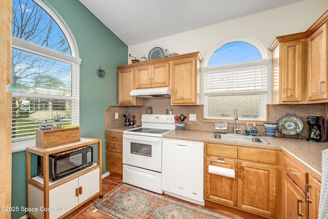 kitchen with plenty of natural light, sink, dark tile patterned floors, and white appliances