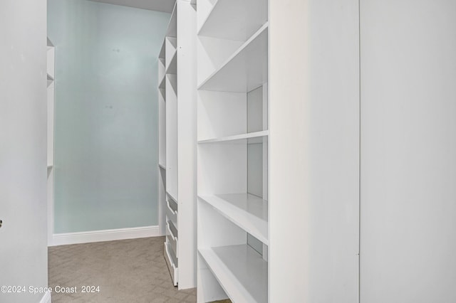 spacious closet featuring light colored carpet