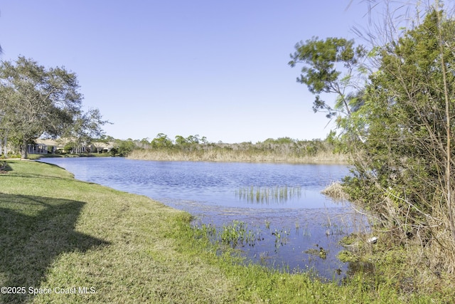 property view of water