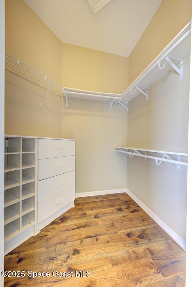 spacious closet with wood-type flooring