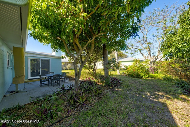 view of yard featuring a patio area