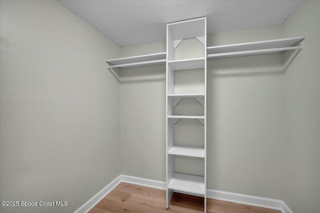 spacious closet with wood-type flooring