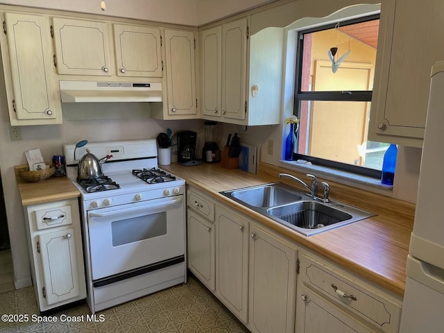 kitchen with white appliances and sink