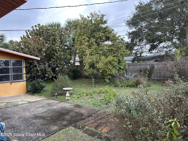 view of yard with a patio area