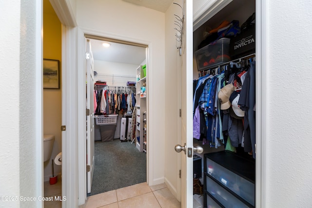 view of closet