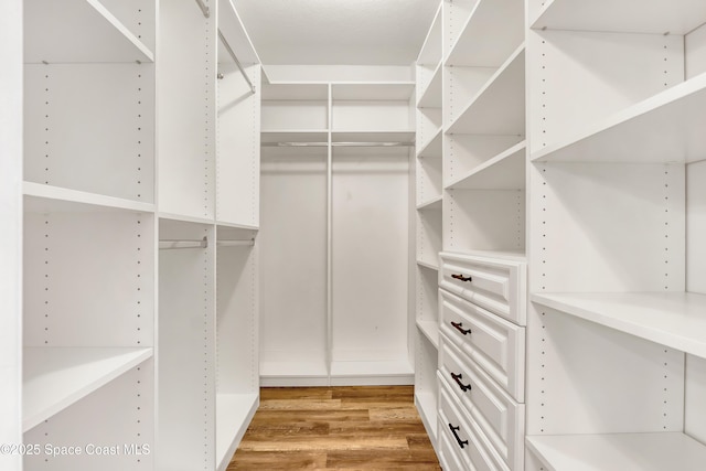 walk in closet with light hardwood / wood-style flooring