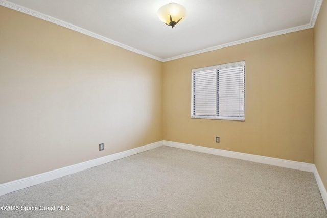 unfurnished room featuring crown molding and carpet floors