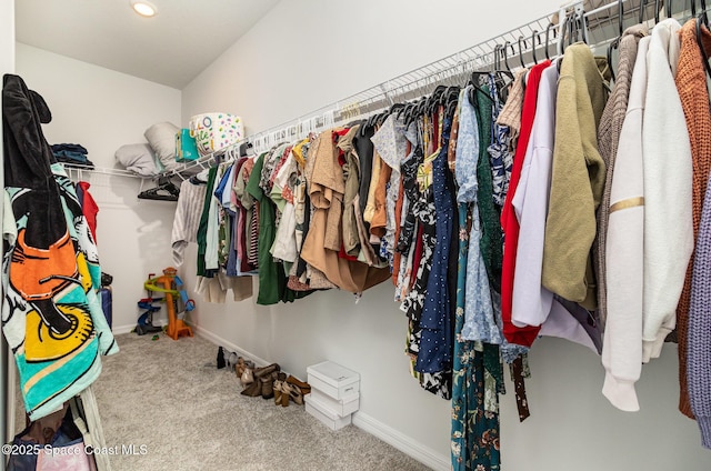 walk in closet with carpet flooring