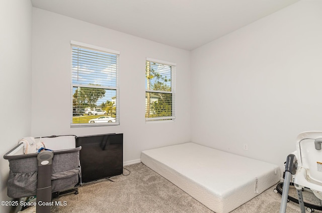 interior space featuring light carpet