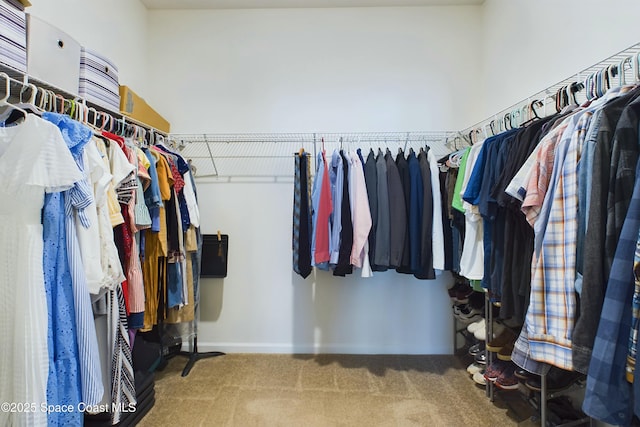 spacious closet featuring carpet