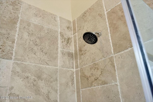 interior details with walk in shower