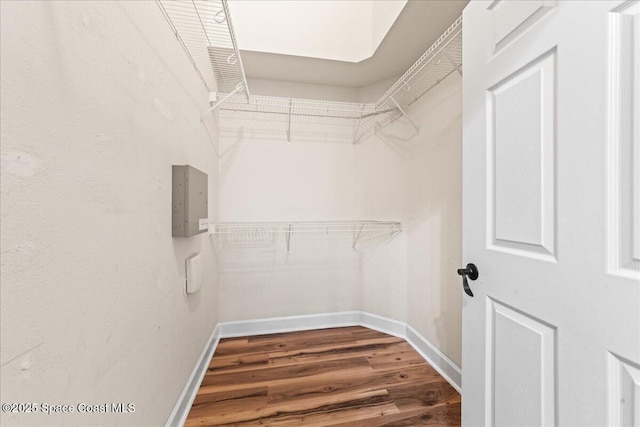 walk in closet featuring hardwood / wood-style flooring