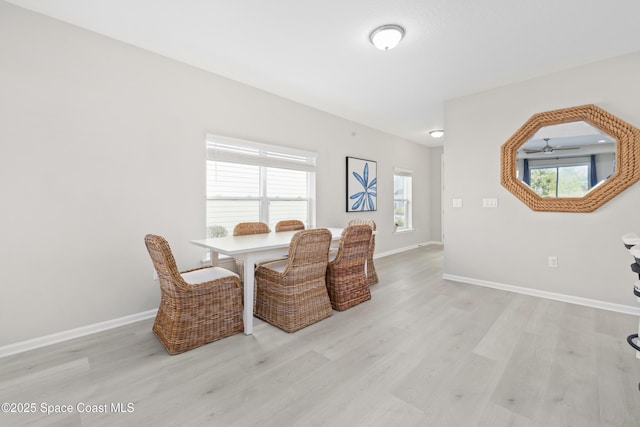 dining room featuring a wealth of natural light, light hardwood / wood-style floors, and ceiling fan