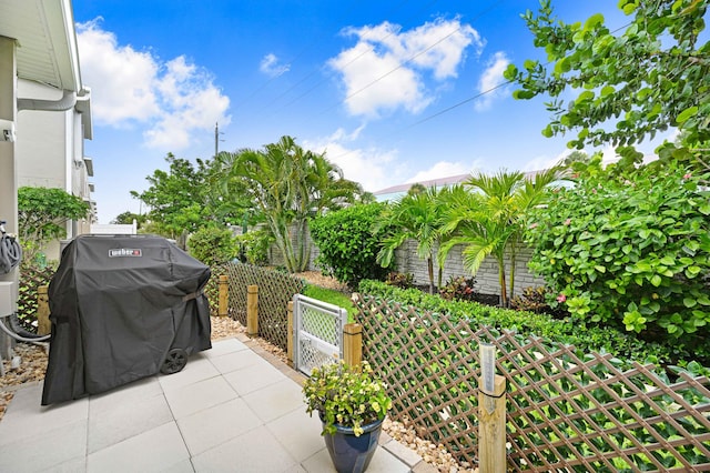 view of patio / terrace with grilling area