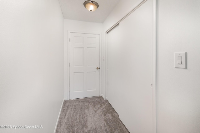 hallway featuring carpet flooring