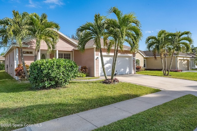 ranch-style house with a front yard