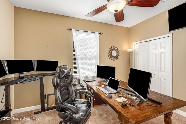 carpeted office with a healthy amount of sunlight