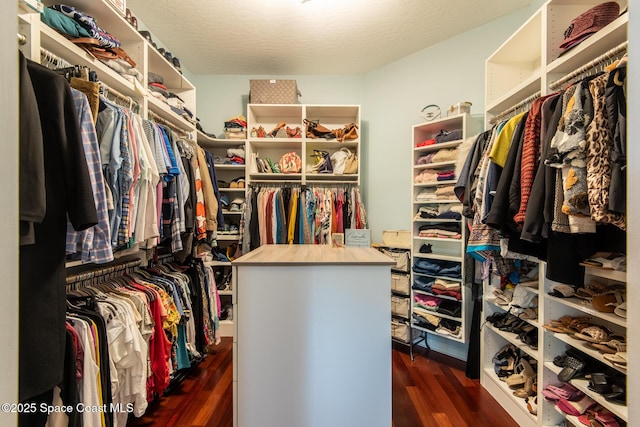 walk in closet with dark hardwood / wood-style floors