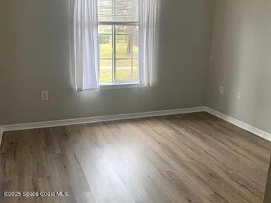 spare room featuring wood-type flooring