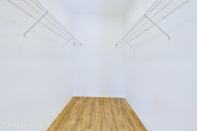 spacious closet with hardwood / wood-style flooring