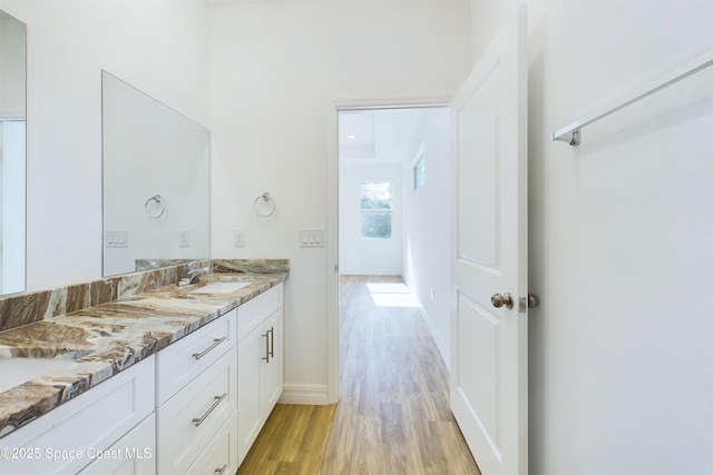 bathroom featuring hardwood / wood-style floors and vanity