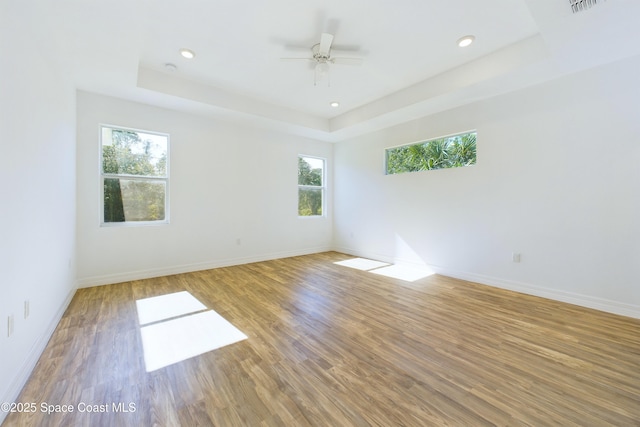 spare room featuring a healthy amount of sunlight, a raised ceiling, and wood-type flooring