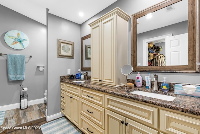 bathroom featuring hardwood / wood-style floors and vanity