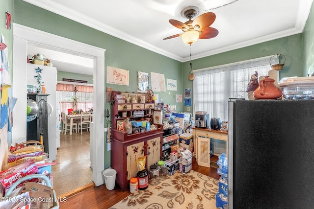 home office featuring hardwood / wood-style flooring, ceiling fan, and ornamental molding