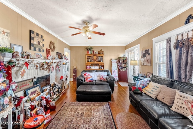 living room featuring ceiling fan, crown molding, wood-type flooring, and a textured ceiling